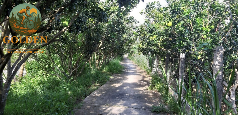 14 Days Hoi An to Angkor Wat Cycling Tour